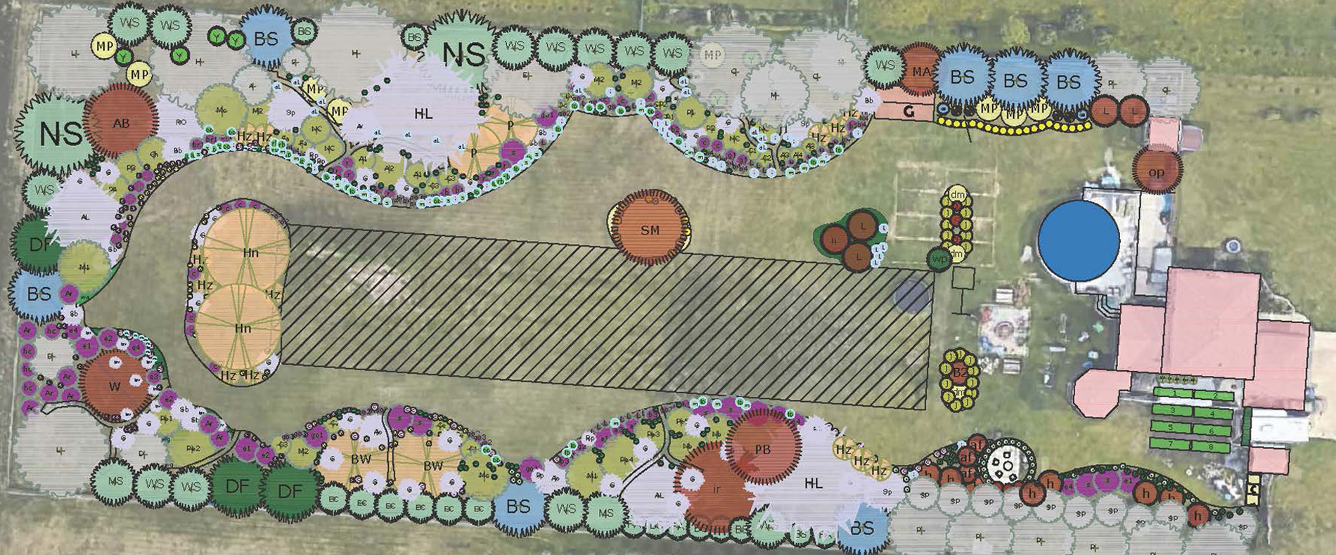 A Living Landscapes planting plan showing curved beds, trees, and paths.