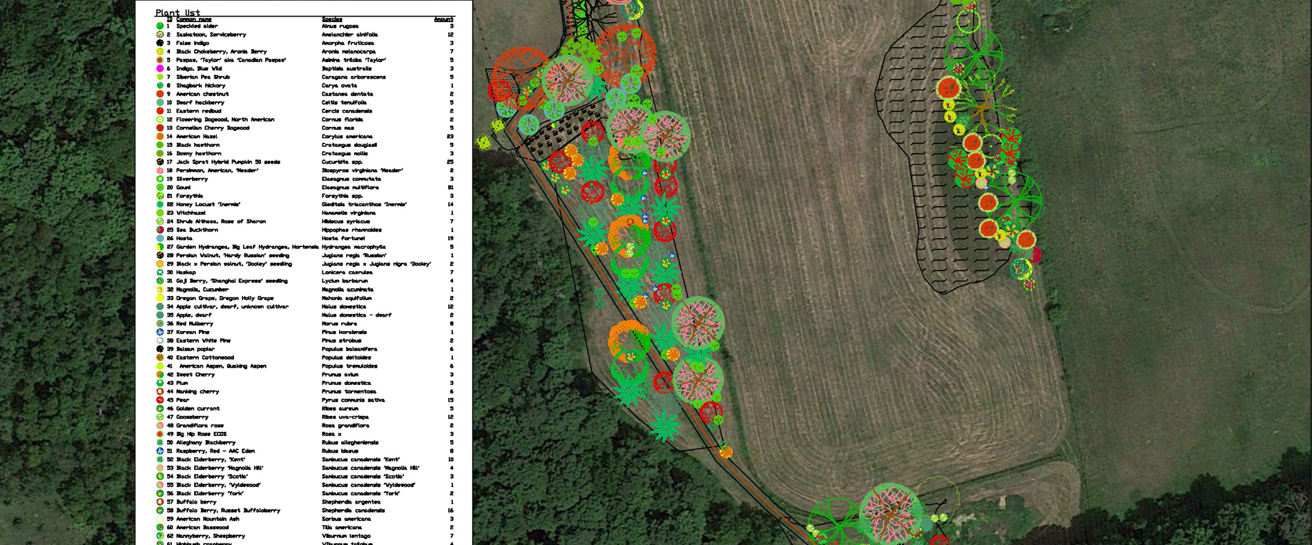 A Living Landscapes planting design over an aerial site view.
